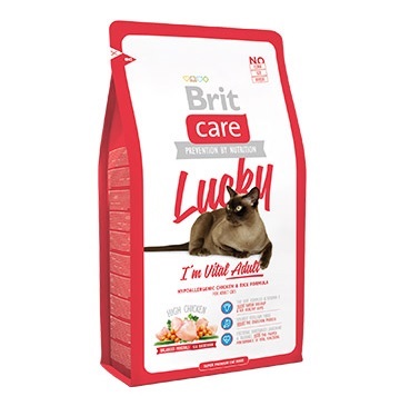 Adult Lucky 2 Kg