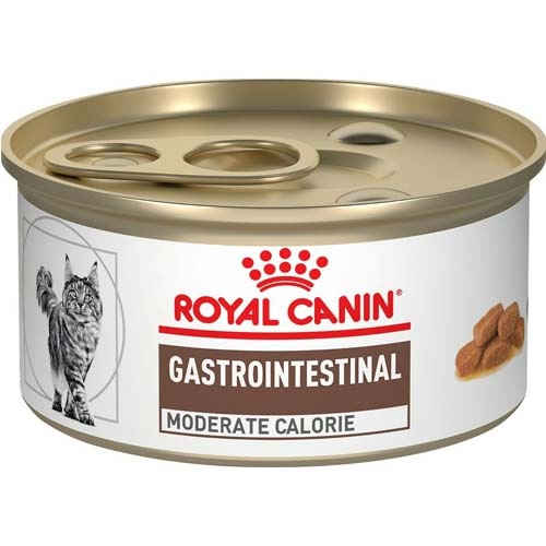 Gastro Intestinal Feline 145 gr